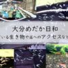 大分めだか日和で売られている生き物や店へのアクセスなど まとめアイキャッチ画像
