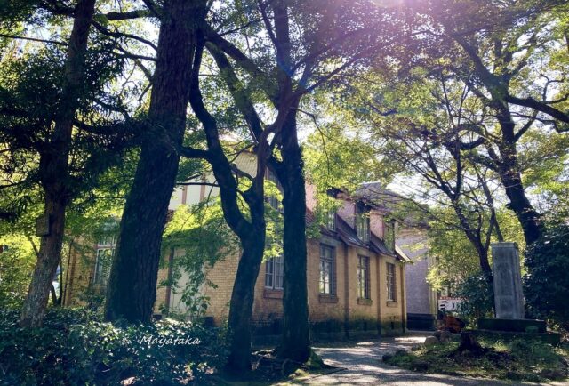 岐阜公園内 から 名和昆虫博物館 に 行く その９