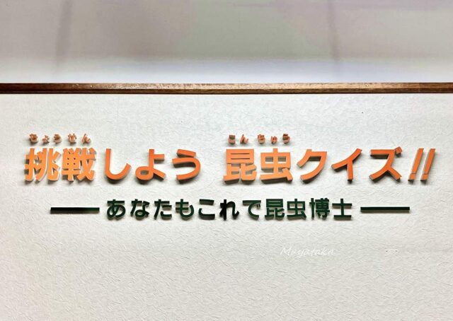 名和昆虫博物館 の 2 階 展示室 ( 昆虫クイズコーナー ) その２