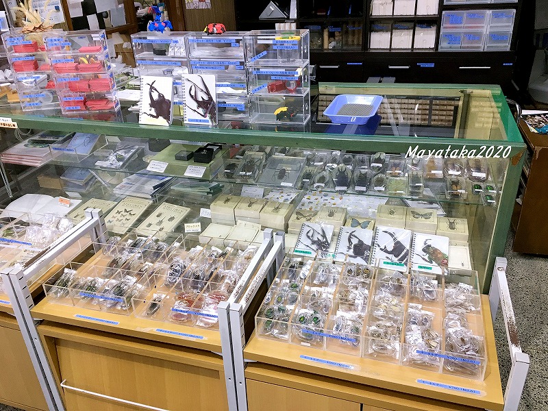 名和昆虫博物館では標本や用品など販売されています。その３
