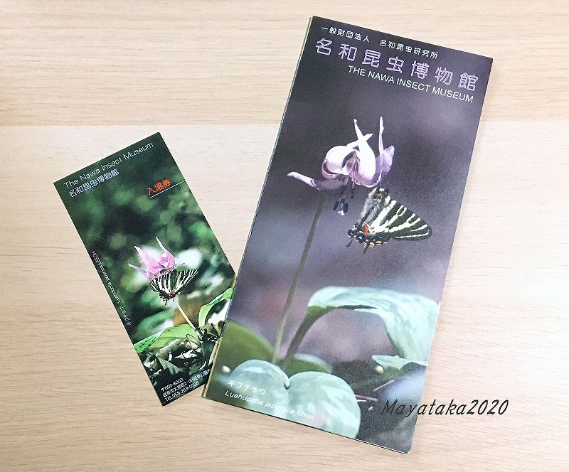 名和昆虫博物館の入場券(左)とパンフレット