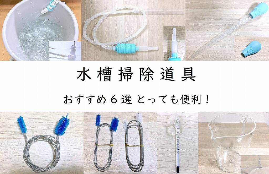 水槽掃除道具 おすすめ6選とっても便利!アイキャッチ画像