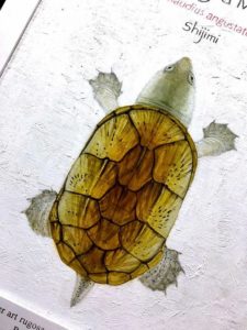 油絵の制作過程を随時、知らせてくれる。その3