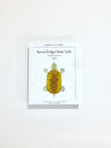 カメの油絵を壁に設置。