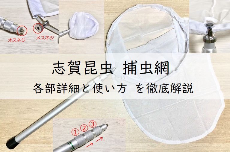 志賀昆虫 捕虫網の各部詳細と使い方を徹底解説!アイキャッチ画像