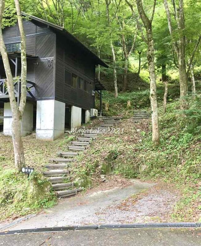 森のコテージ『けやき』の駐車場と階段
