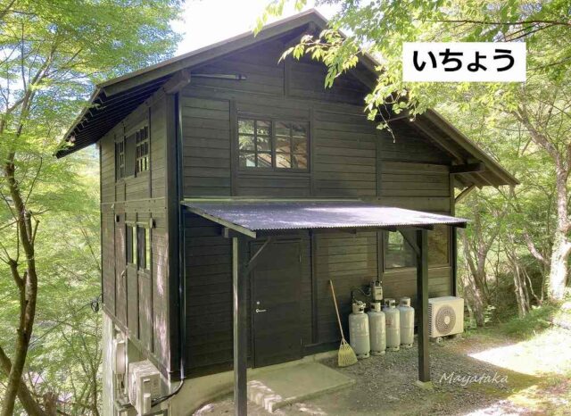 いちょう その2