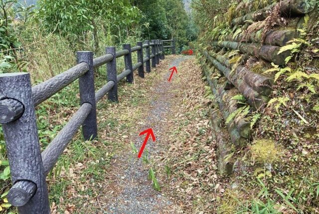 ぶな は 専用駐車場 から 離れた場所 にあります。その6