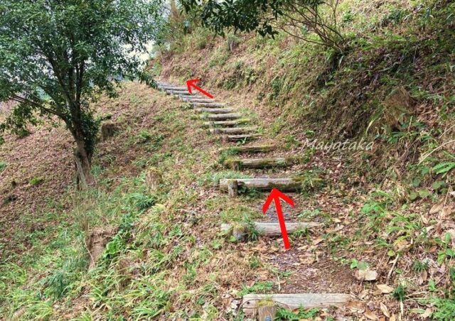ぶな は 専用駐車場 から 離れた場所 にあります。その5