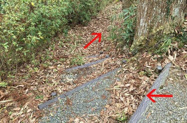 ぶな は 専用駐車場 から 離れた場所 にあります。その7