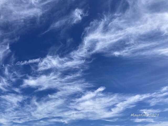 秋空 写真2