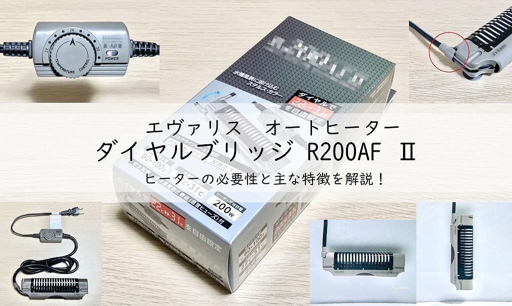 エヴァリス オートヒーター ダイヤルブリッジ R200AF Ⅱ ヒーターの必要性と主な特徴を解説！アイキャッチ画像